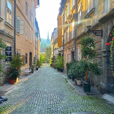 1Br Apartment On The Most Beautiful Street In Ljubljana Center Экстерьер фото