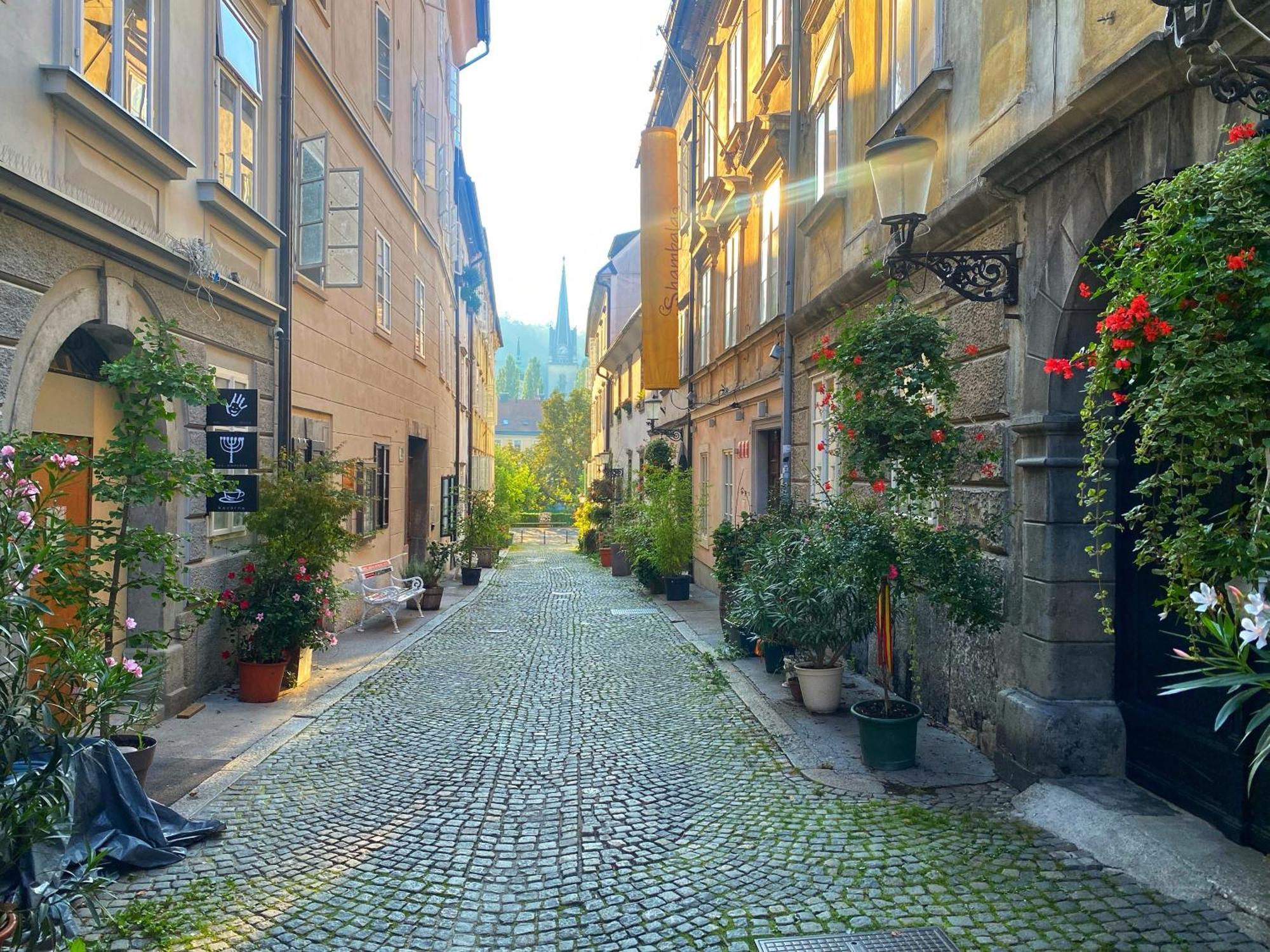 1Br Apartment On The Most Beautiful Street In Ljubljana Center Экстерьер фото